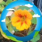 Dora Jensen - Facebook