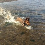 DoRA JoHNsToN - @doraajohnston_ - Instagram
