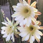 Peggy Doran Kessler - @peggydorankessler - Instagram