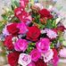 Dora Matos Lambert - Facebook