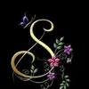 Lauren_Dora - @lauren_dora - TikTok