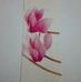 DORA Cristian LAY - Facebook