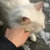 dora.li.m🩻 - @dora.li.m - TikTok