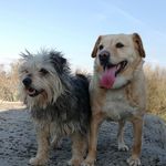 Dora & Luna - @doralunaofficial - Instagram
