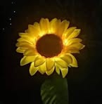 Dora Luna - Facebook