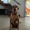 Dora Luna - @dora.luna54 - TikTok