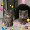~Dora~Luna~ - @dora_luna12 - TikTok
