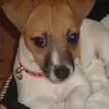 luna_dora - @luna_dora - TikTok