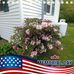 Dora Macdonald - Facebook