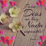 Dora Machuca - @dora.machuca.90 - Instagram