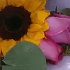Dora Machuca - @dora.machuca3 - TikTok
