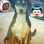Dora Luz Romero Madero - @doraluzromeromadero - Instagram