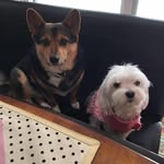 Dora Madero - @doramadero - Instagram