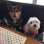 Dora Madero - @maderodora - Instagram
