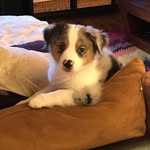 Little Vegas - @doramagallonegan - Instagram
