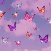 Daisy's - @doramaldonado705 - TikTok