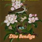 Dora Manriquez - @manriquezdora - Instagram