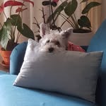 Dora Estela Berrospi Marcial - @dora_berrospi_ - Instagram