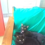 Senhora Dora & Mister Marcus - @dora_marcus_eua2024 - Instagram