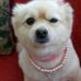 Dora Mares - Facebook