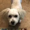 Dora Mares - @dori8mar - TikTok
