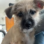 Dora Maria - @doramariaventureira - Instagram