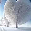 dora marques - @doramarques165 - TikTok