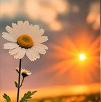 Dora Marroquin - Facebook