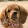 Даша Ким - @doramarsh - TikTok