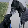 Dora Mason Feigi - @dora.mason.feigi - TikTok