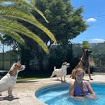Dora Mateus - @dorammateus - Instagram