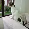 doramateus2 - @doramateus2 - TikTok