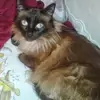 dora mauricio - @dora.mauricio5 - TikTok