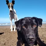 Mauricio Valdora - @mauriciovaldora - Instagram