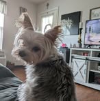 Dora Mallard - Facebook