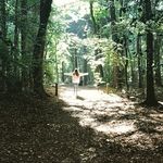 Dora Maynard - @x_dora.maynard_x - Instagram