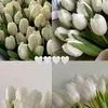 Dora Mazariegos - @dora.mazariegos13 - TikTok