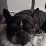 Dora McDaniels - @mcdanielsdora - Instagram