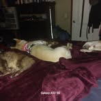 Dora McDonald - Facebook