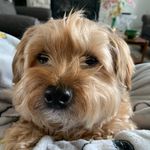 Dora McFadden - @dmm1106 - Instagram