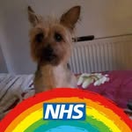 Doreen Mcgowan - @doreenmcgowan67 - Instagram