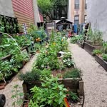 Dorothy K. McGowan Garden - @158thstgardennyc - Instagram