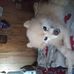 Dora Mclaughlin - Facebook