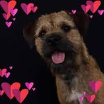 Dora Mcleod - @doramcleod1969 - Instagram