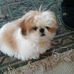 Jeanne Dora McLeod - Facebook