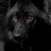 Dora Mcneil - Facebook