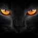 Dora McPherson - Facebook