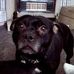 Dora Mead - Facebook