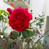 Dora Mendez - @dora.mendez3 - TikTok