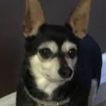 Dora Montgomery - @dora.montgomery.165 - Instagram